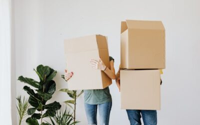 Questions to Ask a Professional Mover